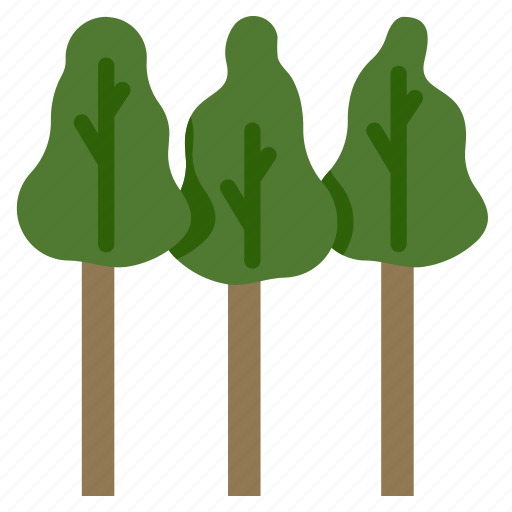 Eucalyptus, trees, forest, woodland, wood, plant, pine icon - Download on Iconfinder