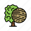 oak, wood, land, growth, natural, tree 