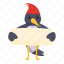 woodpecker, read, paper, language