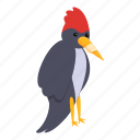 sick, woodpecker, bird