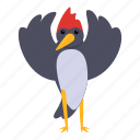 funny, woodpecker, bird, animal