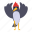 funny, woodpecker, bird, animal 