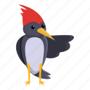 woodpecker, show, bird, image