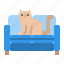 cat, sofa, pet, relax 