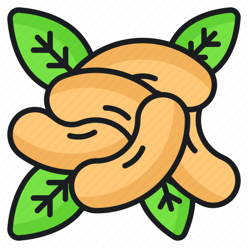 Cashew, nuts, food, healthy, nutrition, dried, cashews icon - Download on Iconfinder