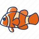 clownfish, animal, fish, ocean, aquatic, marine, sea