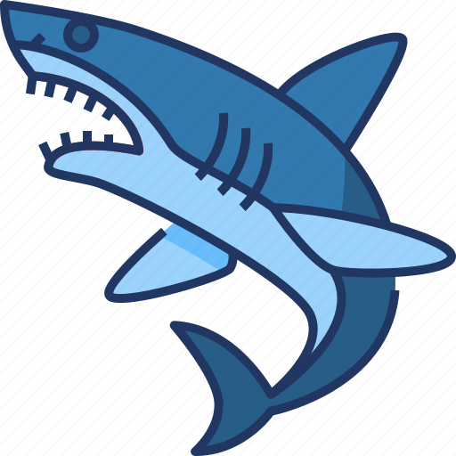 Shark, fish, animal, sea, ocean, whale, fin icon - Download on Iconfinder