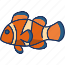 clownfish, animal, fish, ocean, aquatic, marine, sea 