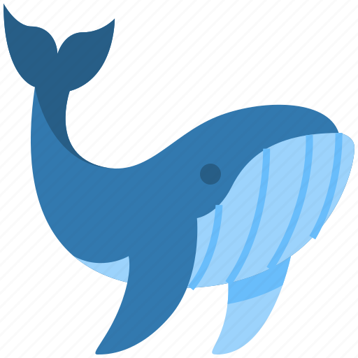 Whale, animal, fish, sea, ocean, mammal, aquatic icon - Download on Iconfinder
