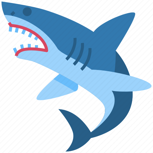 Shark, fish, animal, sea, ocean, whale, fin icon - Download on Iconfinder