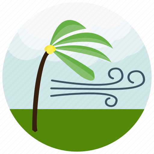 Forecast, palm, strong, tree, weather, wind icon - Download on Iconfinder
