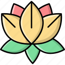 lotus, flower, yoga, pose