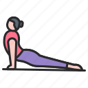 yoga, excercise, physical, activity, pose, woman, fitness, cobra, wellness
