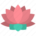 yoga, lotus, flower, spa, nature, blossom