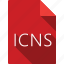 document, icns 