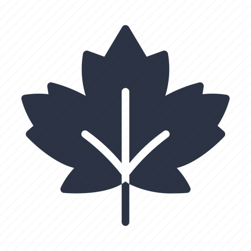 Canada, foliage, leaf, leaves, maple icon - Download on Iconfinder