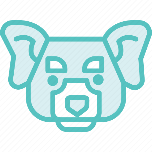 Animal, koala, zoo icon - Download on Iconfinder