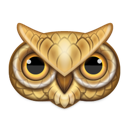 animal, owl