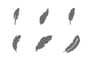 Bird feather glyph