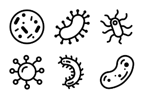 Covid, viruses and bacteria
