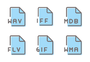 File Format