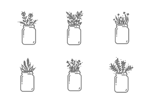 Hand Drawn Plants in Jars