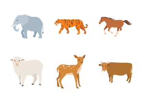 Mammals I Color