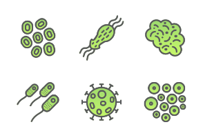 Virus and Bacteria